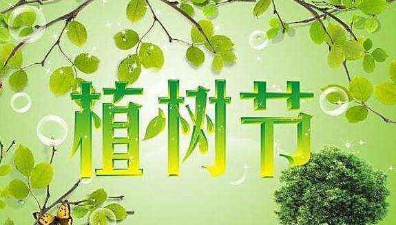  擁抱春天，播種綠色